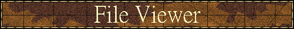 File Viewer